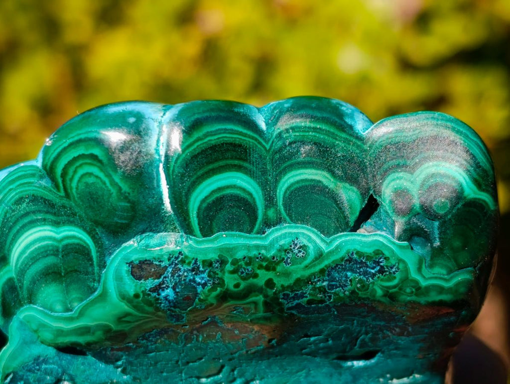 Polished "Eye" Ring Patterned Malacolla Specimen x 1 From Kulukuluku, Congo