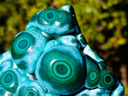 Polished "Eye" Ring Patterned Malacolla Specimen x 1 From Kulukuluku, Congo