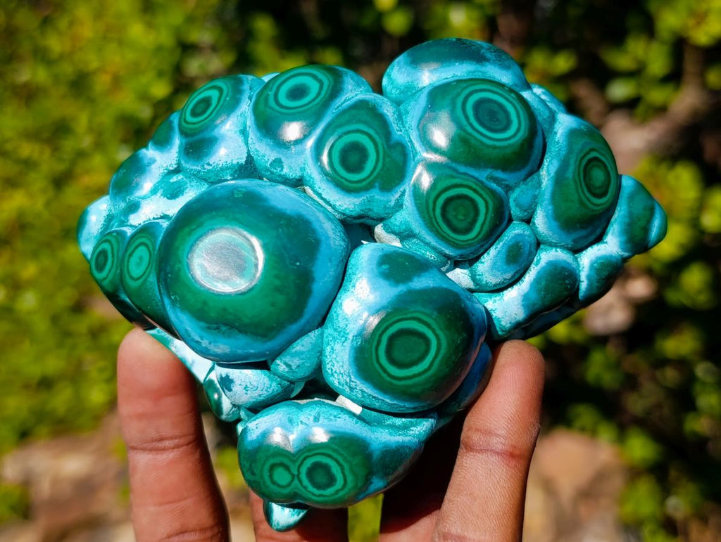 Polished "Eye" Ring Patterned Malacolla Specimen x 1 From Kulukuluku, Congo