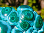 Polished "Eye" Ring Patterned Malacolla Specimen x 1 From Kulukuluku, Congo