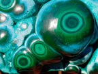 Polished "Eye" Ring Patterned Malacolla Specimen x 1 From Kulukuluku, Congo