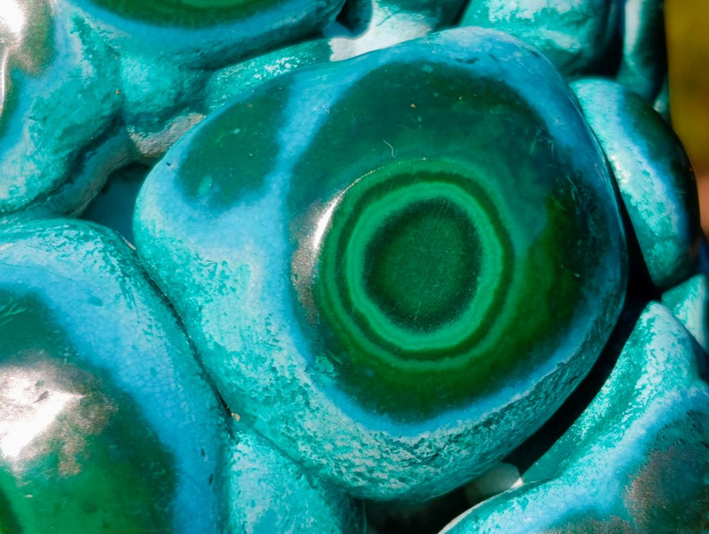 Polished "Eye" Ring Patterned Malacolla Specimen x 1 From Kulukuluku, Congo