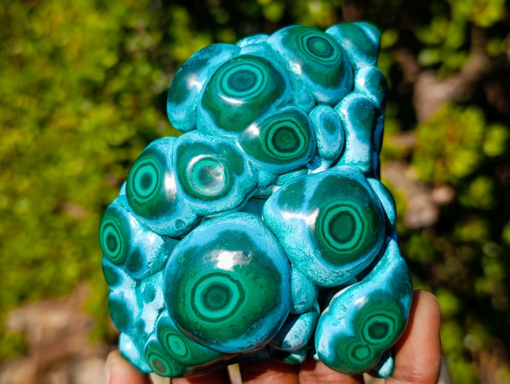 Polished "Eye" Ring Patterned Malacolla Specimen x 1 From Kulukuluku, Congo
