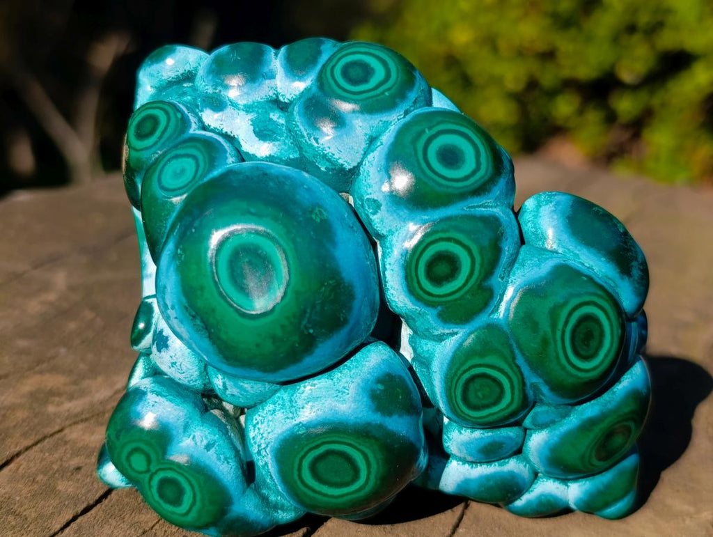 Polished "Eye" Ring Patterned Malacolla Specimen x 1 From Kulukuluku, Congo