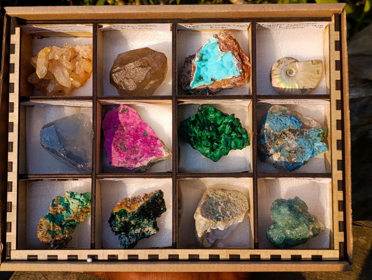 Natural Mix Set of 12 African Specimens in a Wooden Display Box x 1 From Southern Africa