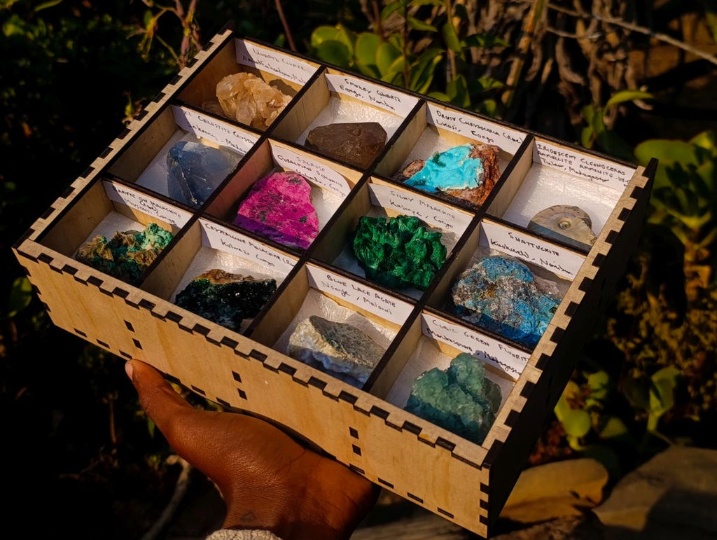 Natural Mix Set of 12 African Specimens in a Wooden Display Box x 1 From Southern Africa