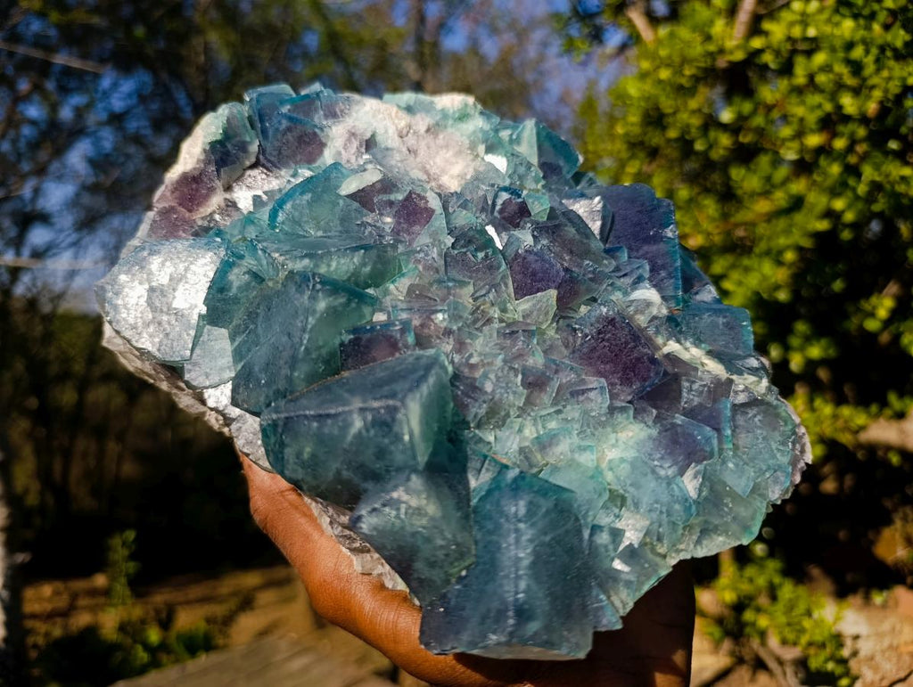 Natural XL Cubic Fluorite Specimen x 1 From Mandrosonoro Madagascar