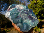 Natural XL Cubic Fluorite Specimen x 1 From Mandrosonoro Madagascar