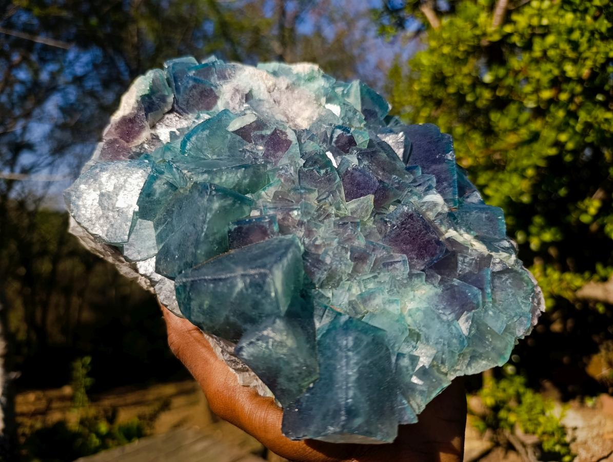 Natural XL Cubic Fluorite Specimen x 1 From Mandrosonoro Madagascar