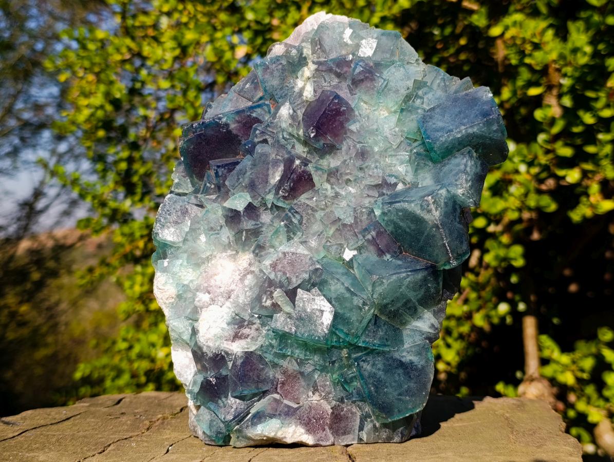 Natural XL Cubic Fluorite Specimen x 1 From Mandrosonoro Madagascar
