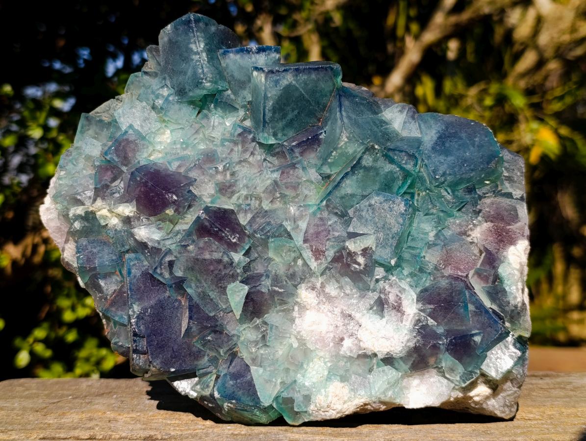 Natural XL Cubic Fluorite Specimen x 1 From Mandrosonoro Madagascar