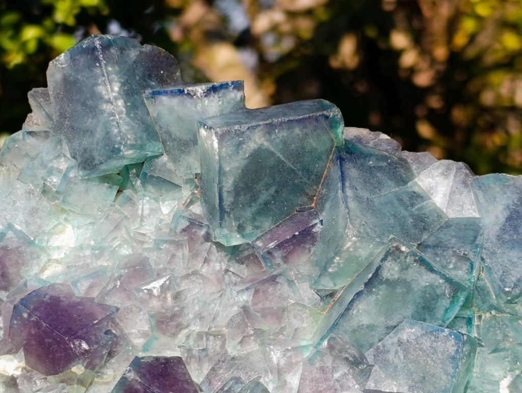 Natural XL Cubic Fluorite Specimen x 1 From Mandrosonoro Madagascar