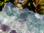 Natural XL Cubic Fluorite Specimen x 1 From Mandrosonoro Madagascar