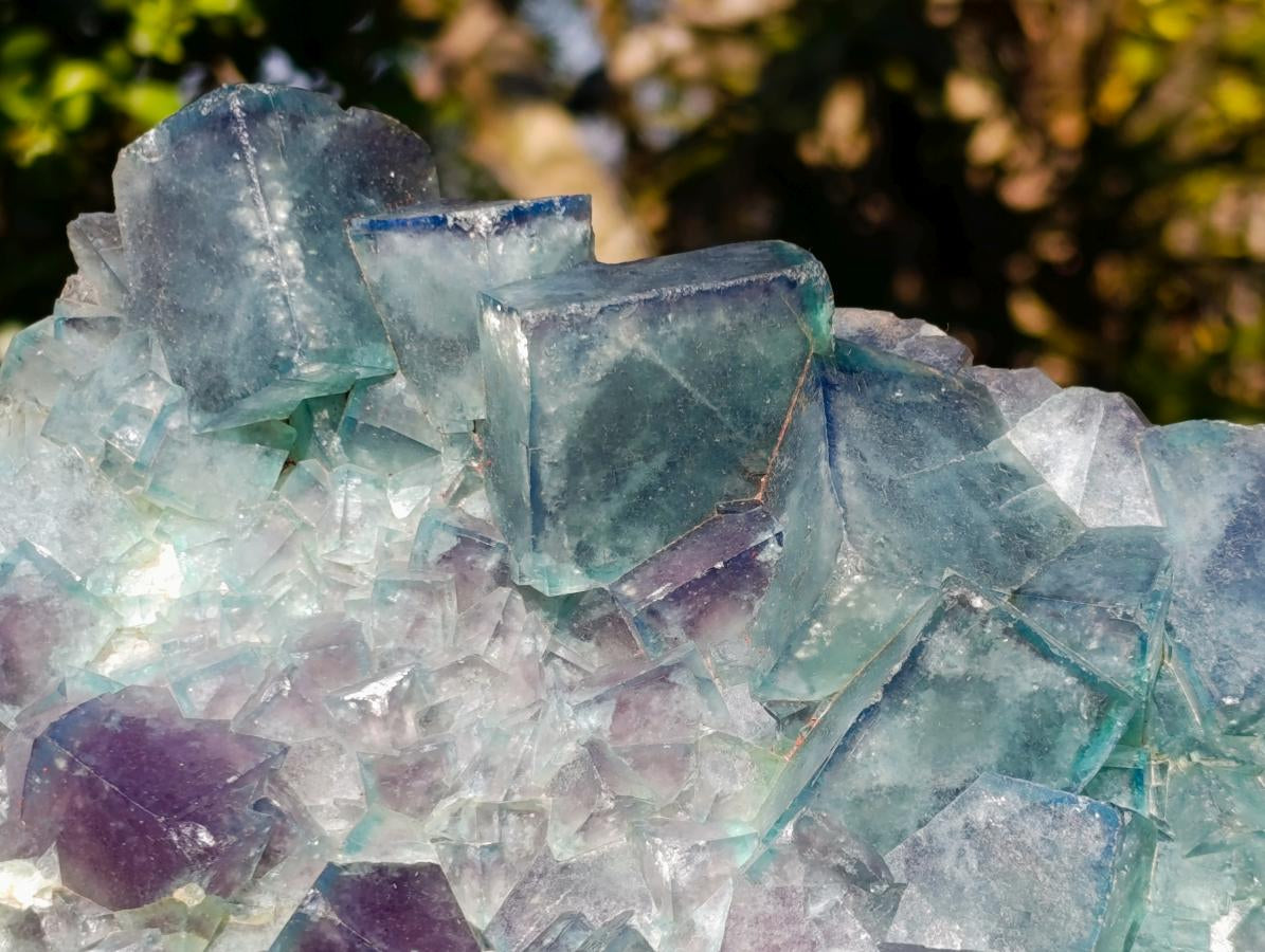 Natural XL Cubic Fluorite Specimen x 1 From Mandrosonoro Madagascar