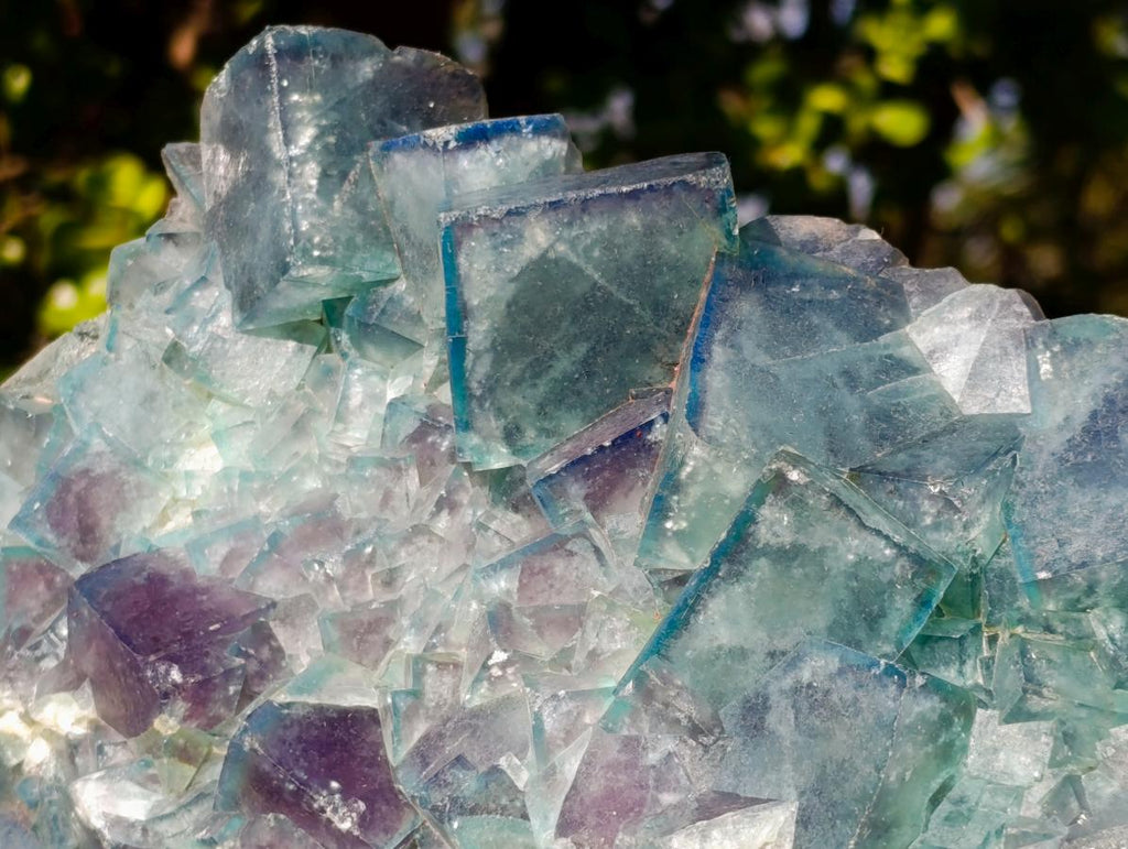 Natural XL Cubic Fluorite Specimen x 1 From Mandrosonoro Madagascar