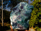 Natural XL Cubic Fluorite Specimen x 1 From Mandrosonoro Madagascar