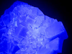 Natural XL Cubic Fluorite Specimen x 1 From Mandrosonoro Madagascar