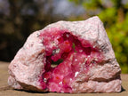 Natural Rare Hot Pink Spherocobaltite Specimen in Wooden Display Box x 1 From Mashamba West Mine, Congo
