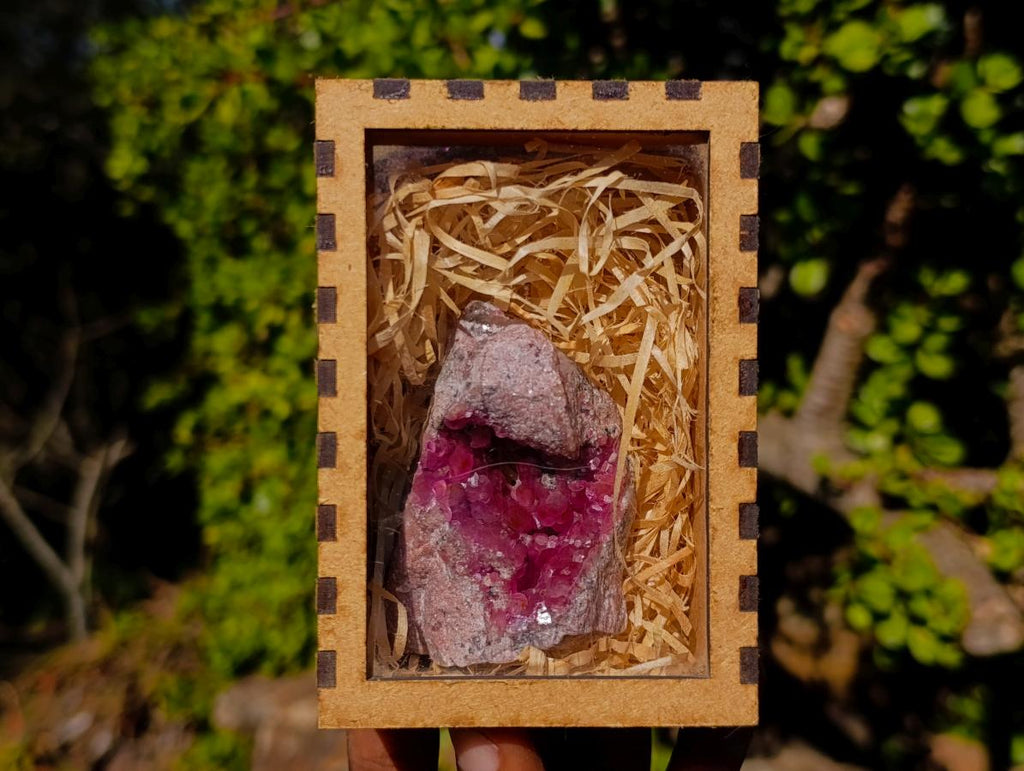 Natural Rare Hot Pink Spherocobaltite Specimen in Wooden Display Box x 1 From Mashamba West Mine, Congo
