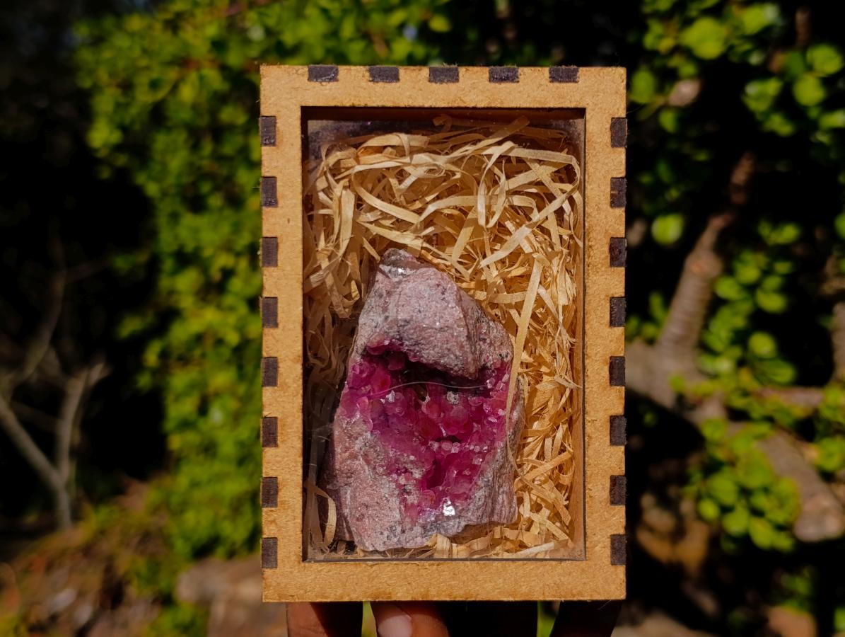 Natural Rare Hot Pink Spherocobaltite Specimen in Wooden Display Box x 1 From Mashamba West Mine, Congo