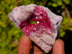 Natural Rare Hot Pink Spherocobaltite Specimen in Wooden Display Box x 1 From Mashamba West Mine, Congo