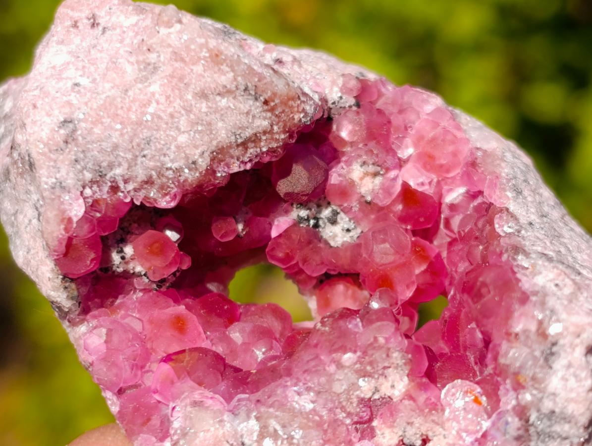Natural Rare Hot Pink Spherocobaltite Specimen in Wooden Display Box x 1 From Mashamba West Mine, Congo