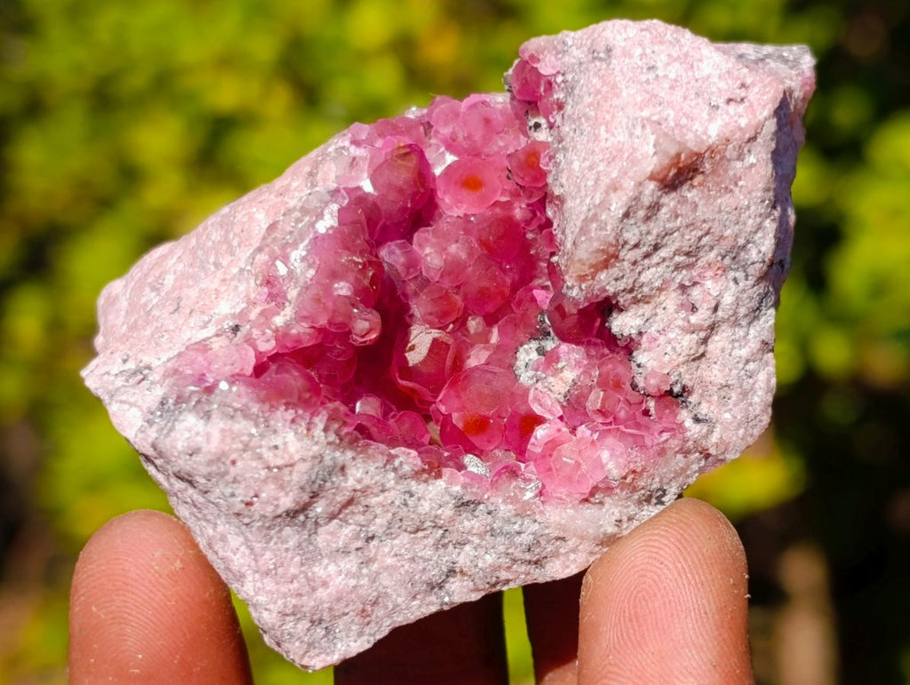 Natural Rare Hot Pink Spherocobaltite Specimen in Wooden Display Box x 1 From Mashamba West Mine, Congo