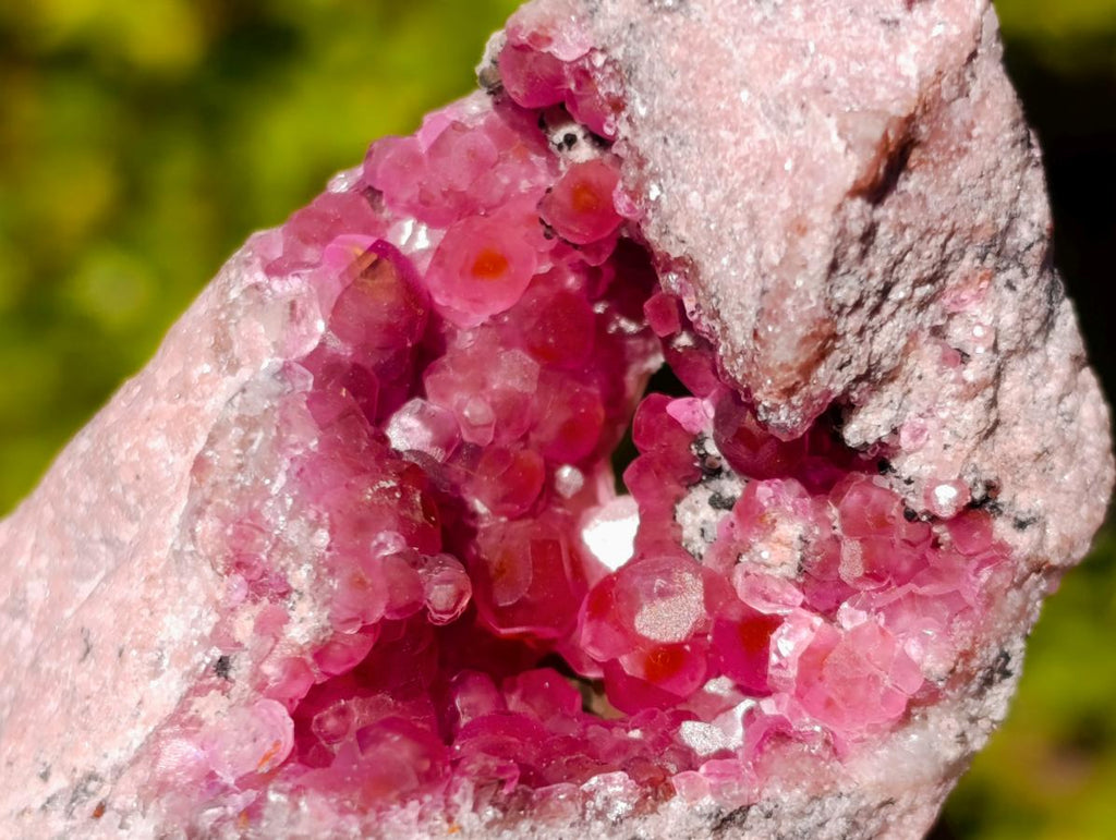 Natural Rare Hot Pink Spherocobaltite Specimen in Wooden Display Box x 1 From Mashamba West Mine, Congo