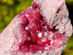 Natural Rare Hot Pink Spherocobaltite Specimen in Wooden Display Box x 1 From Mashamba West Mine, Congo