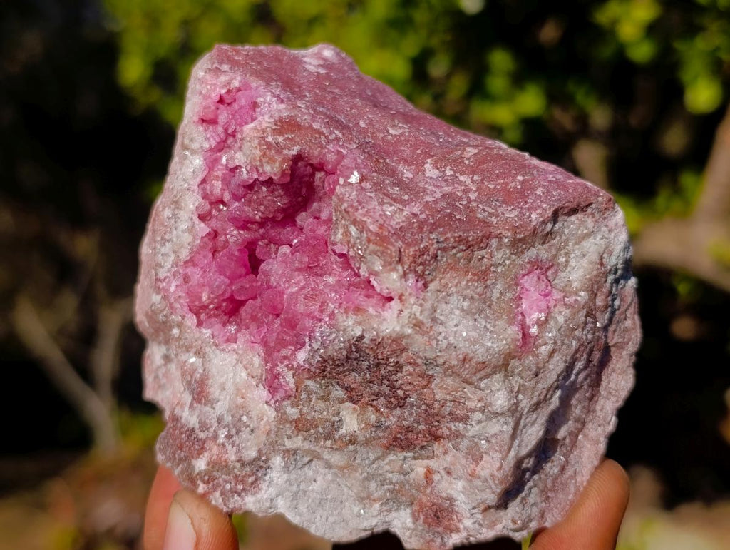 Natural Cabinet Size Rare Spherocobaltite Specimen x 1 From Mashamba West Mine, Congo