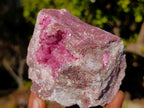 Natural Cabinet Size Rare Spherocobaltite Specimen x 1 From Mashamba West Mine, Congo