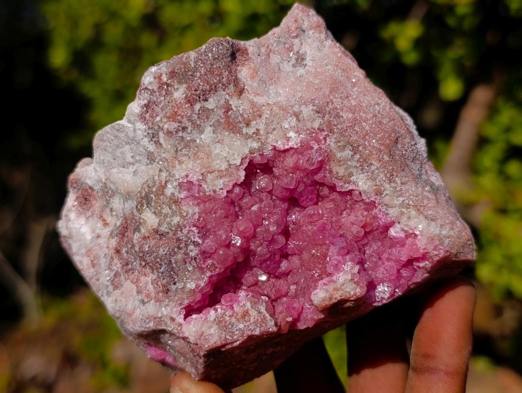 Natural Cabinet Size Rare Spherocobaltite Specimen x 1 From Mashamba West Mine, Congo