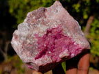 Natural Cabinet Size Rare Spherocobaltite Specimen x 1 From Mashamba West Mine, Congo