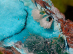 Natural Cabinet Size Drusy Coated Chrysocolla Specimen on Dolomite x 1 From Likasi, Congo