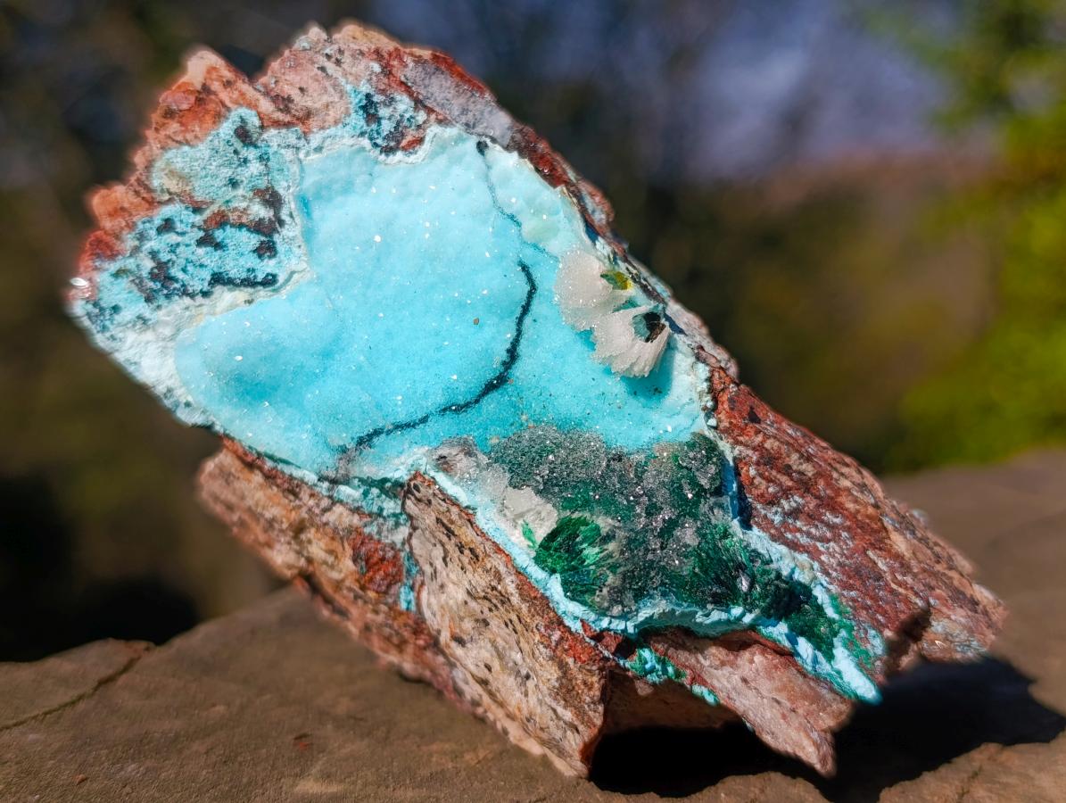 Natural Cabinet Size Drusy Coated Chrysocolla Specimen on Dolomite x 1 From Likasi, Congo