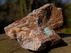 Natural Cabinet Size Drusy Coated Chrysocolla Specimen on Dolomite x 1 From Likasi, Congo