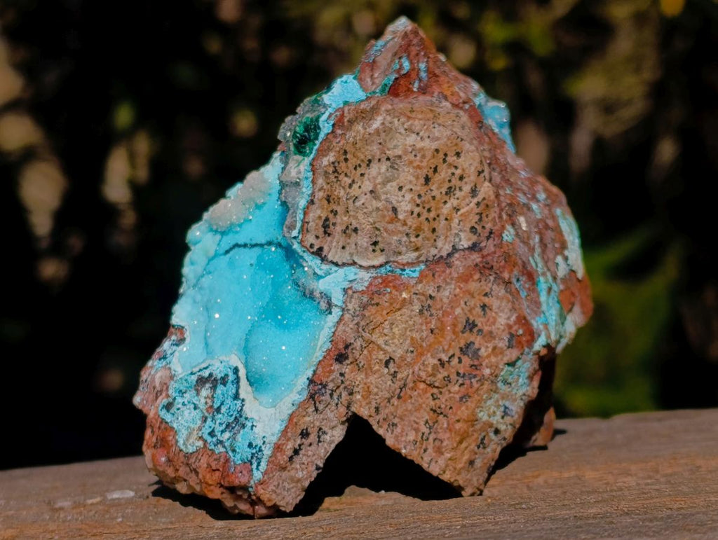 Natural Cabinet Size Drusy Coated Chrysocolla Specimen on Dolomite x 1 From Likasi, Congo