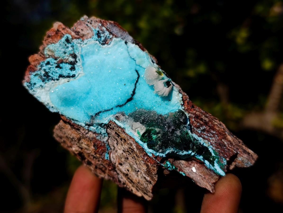 Natural Cabinet Size Drusy Coated Chrysocolla Specimen on Dolomite x 1 From Likasi, Congo