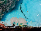 Natural Cabinet Size Drusy Coated Chrysocolla Specimen on Dolomite x 1 From Likasi, Congo