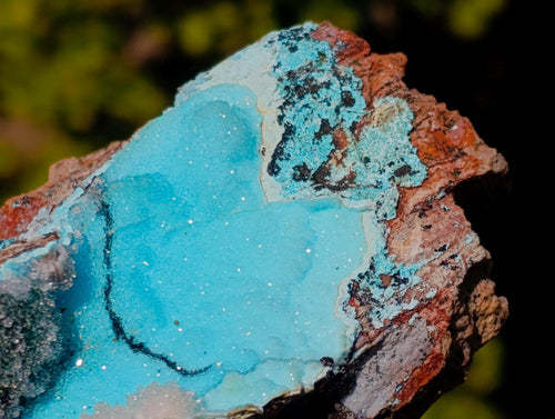 Natural Cabinet Size Drusy Coated Chrysocolla Specimen on Dolomite x 1 From Likasi, Congo