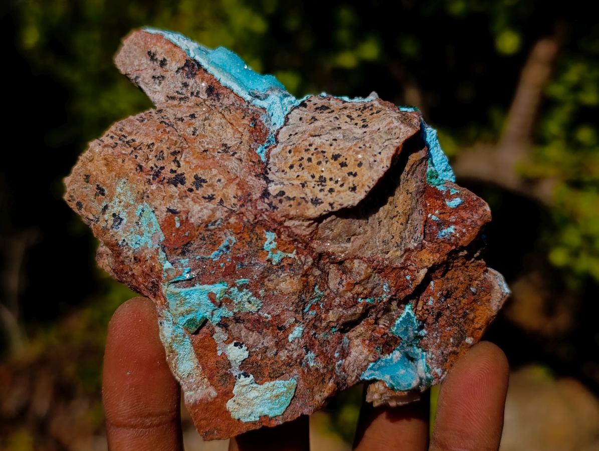 Natural Cabinet Size Drusy Coated Chrysocolla Specimen on Dolomite x 1 From Likasi, Congo