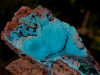 Natural Cabinet Size Drusy Coated Chrysocolla Specimen on Dolomite x 1 From Likasi, Congo
