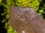 Polished Double Terminated Smokey Quartz Crystal x 1 From Madagascar
