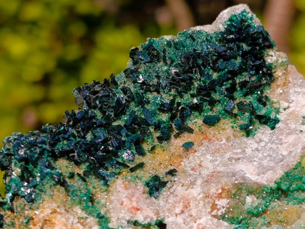 Natural Cabinet Size Rare Crystalline Malachite on Dolomite Specimen x 1 From Tenke Fungurume, Congo
