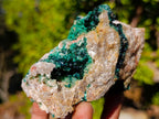 Natural Cabinet Size Rare Crystalline Malachite on Dolomite Specimen x 1 From Tenke Fungurume, Congo