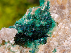 Natural Cabinet Size Rare Crystalline Malachite on Dolomite Specimen x 1 From Tenke Fungurume, Congo