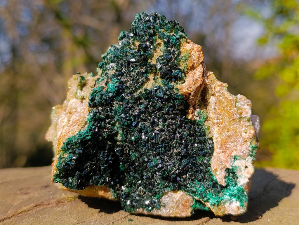 Natural Cabinet Size Rare Crystalline Malachite on Dolomite Specimen x 1 From Tenke Fungurume, Congo