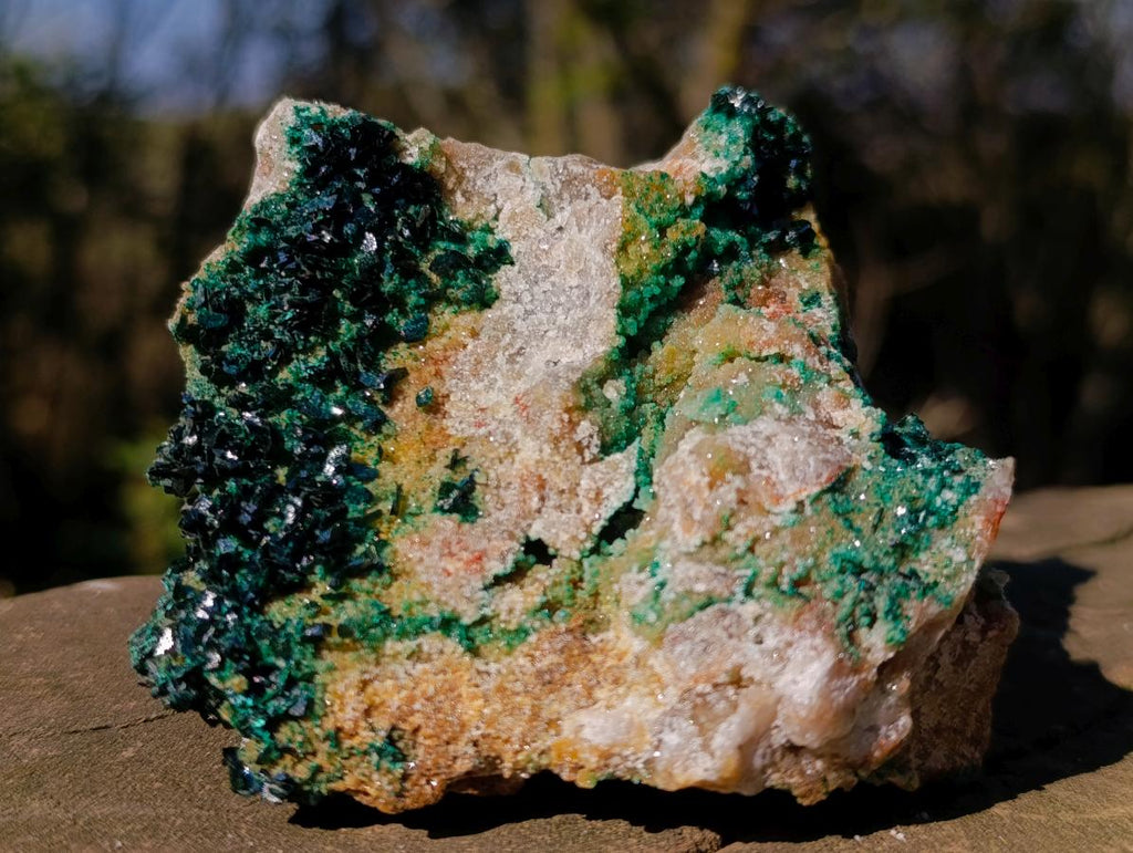 Natural Cabinet Size Rare Crystalline Malachite on Dolomite Specimen x 1 From Tenke Fungurume, Congo