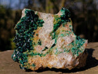 Natural Cabinet Size Rare Crystalline Malachite on Dolomite Specimen x 1 From Tenke Fungurume, Congo