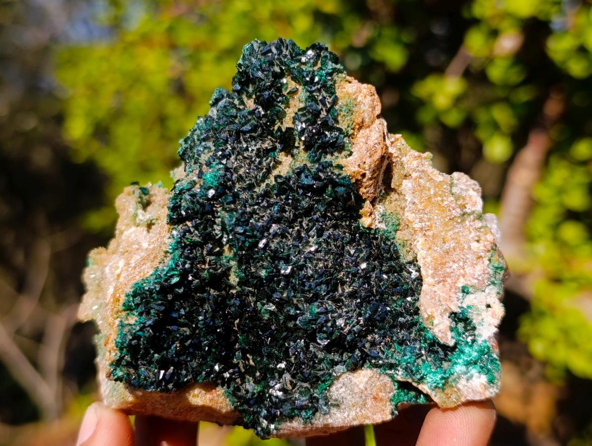 Natural Cabinet Size Rare Crystalline Malachite on Dolomite Specimen x 1 From Tenke Fungurume, Congo